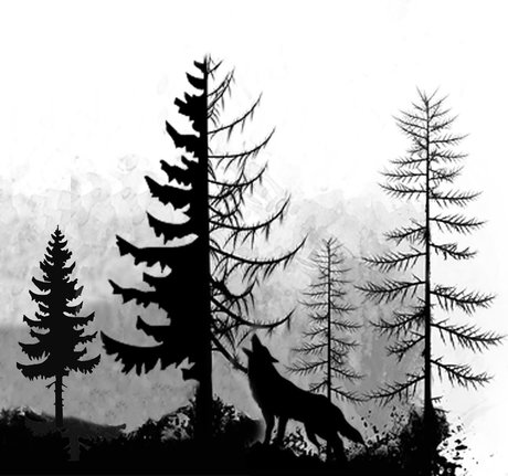 Nagie wyciekłe zdjęcie OnlyFans od Manuel