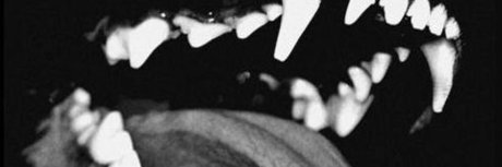 Nagie wyciekłe zdjęcie OnlyFans od Diabloodon