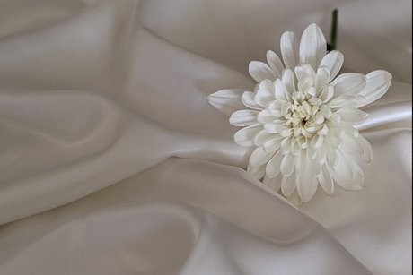 Nagie wyciekłe zdjęcie OnlyFans od Aisha Love