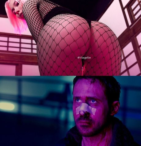 Visagefox