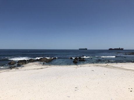 Nagie wyciekłe zdjęcie OnlyFans od Aquarius Prince 