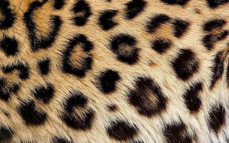 Nagie wyciekłe zdjęcie OnlyFans od Alana