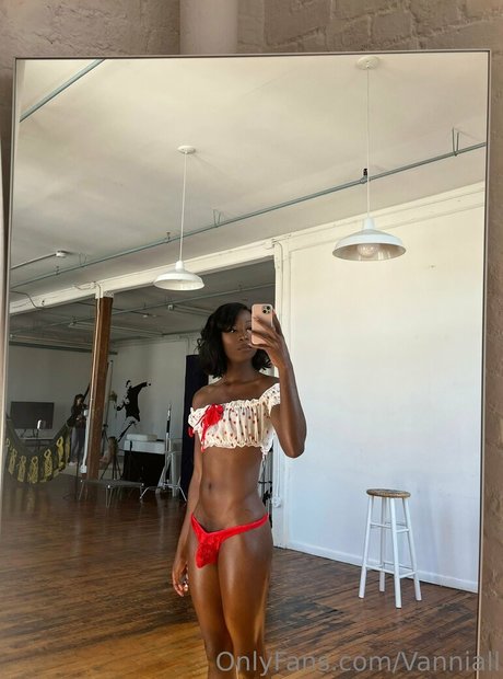 Nagie wyciekłe zdjęcie OnlyFans od Vanniallfree