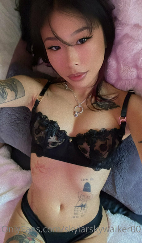 Skylarskywalker00