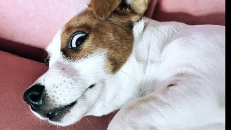 Nagie wyciekłe zdjęcie OnlyFans od Winyl