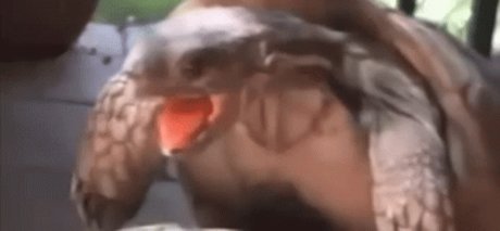 Nagie wyciekłe zdjęcie OnlyFans od Chupacabra