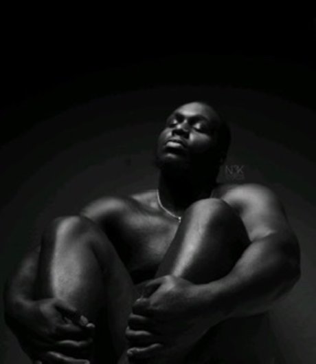 The Velvet Teddy Bear