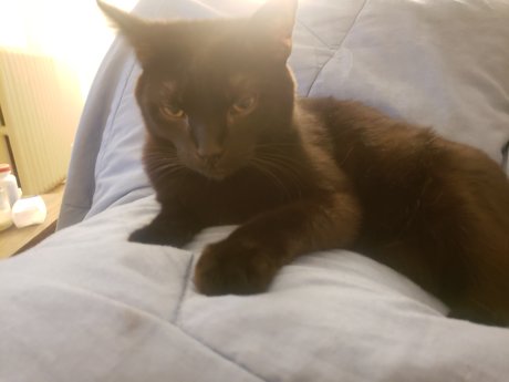Nagie wyciekłe zdjęcie OnlyFans od Pika Good Boy