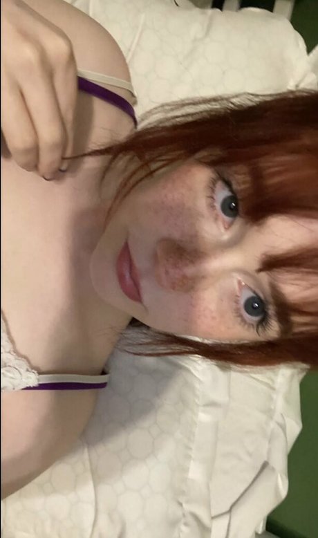 Shelbypng