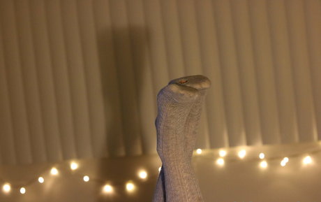Nagie wyciekłe zdjęcie OnlyFans od Msfeetsie
