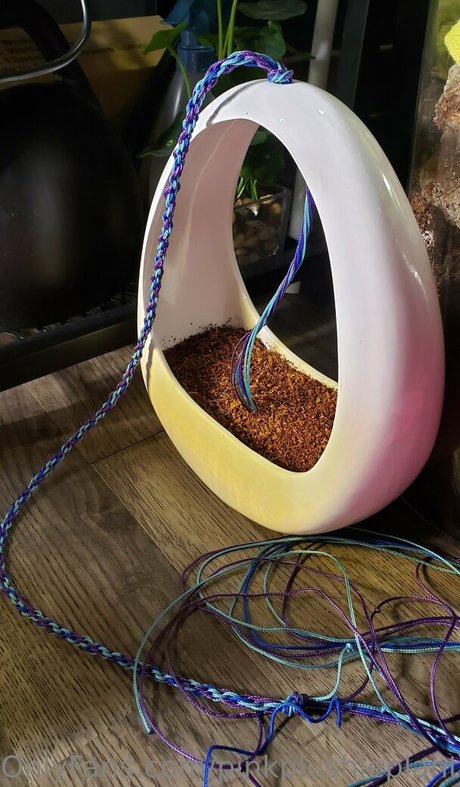 Nagie wyciekłe zdjęcie OnlyFans od Pinkplushieplants