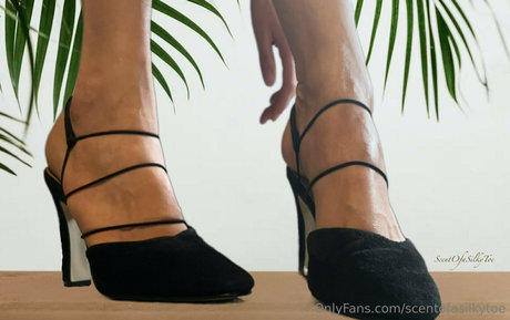 Scentofasilkytoe