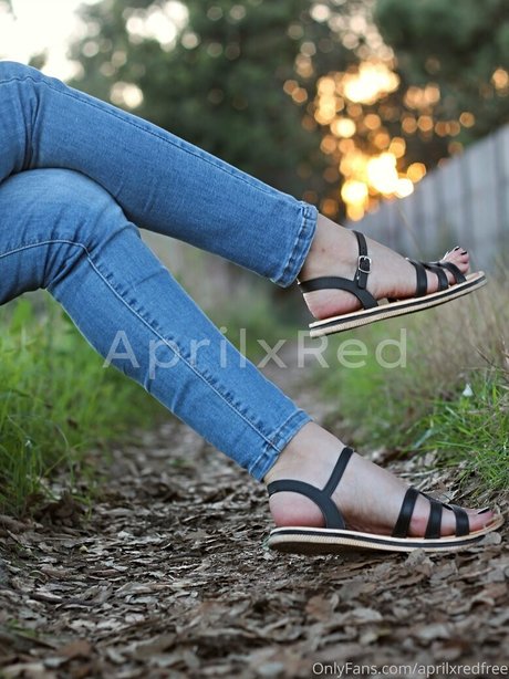 Aprilxredfree