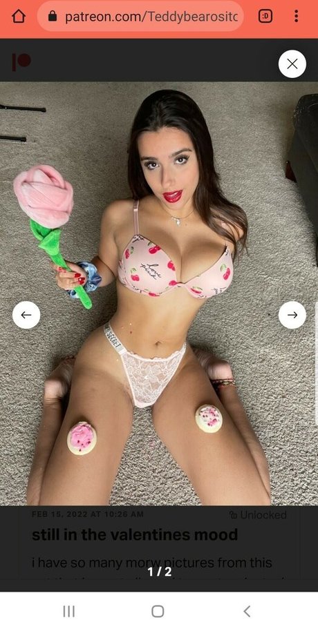 Teddybearosito
