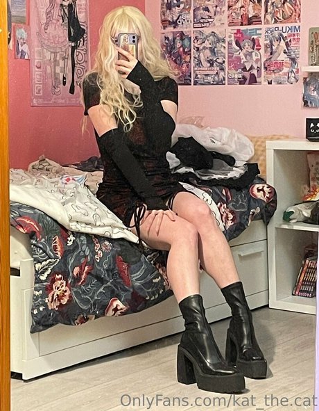 Kat_the.cat