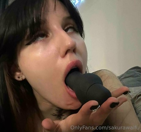 Sakurawaifu