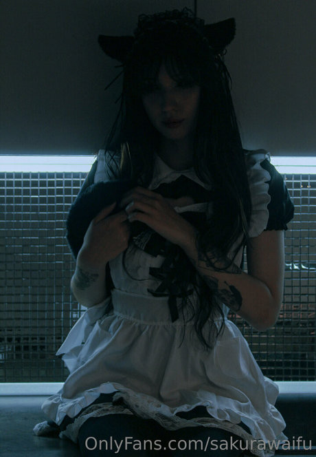 Sakurawaifu