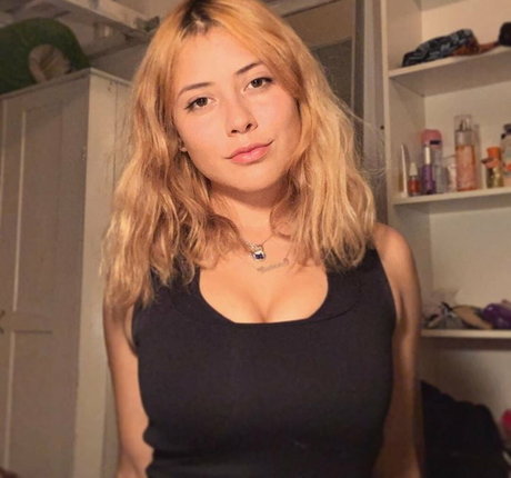 Vivi Alto