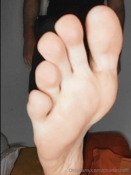 Charlesndft