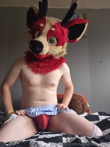 Nagie wyciekłe zdjęcie OnlyFans od Velvetdeernsfw