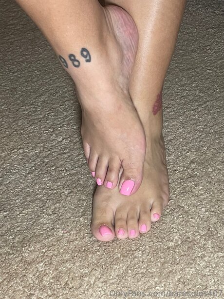 Baresoles407