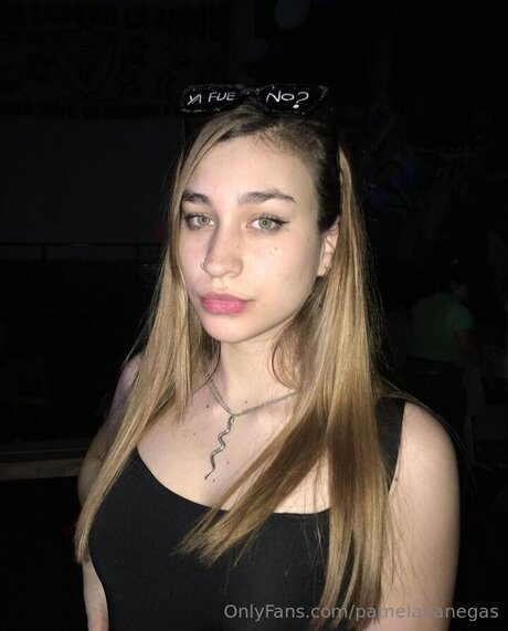 Pamelavanegas