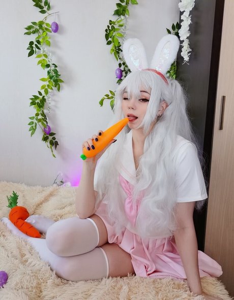 Caticornplay