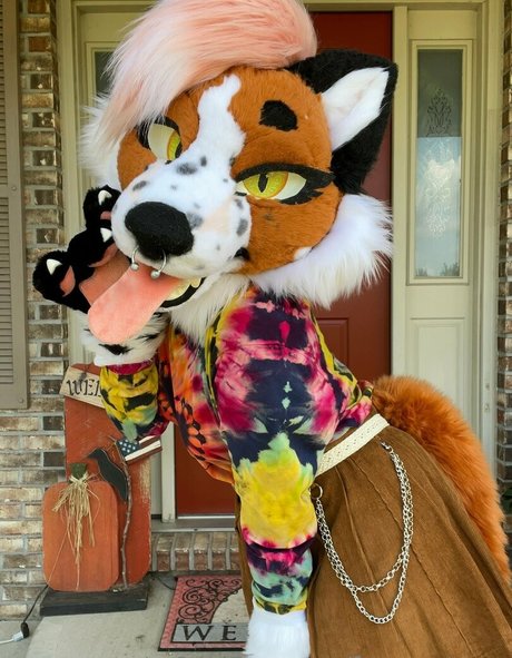 Fox_anatomy