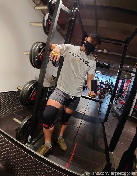 Nagie wyciekłe zdjęcie OnlyFans od Largedogcollar