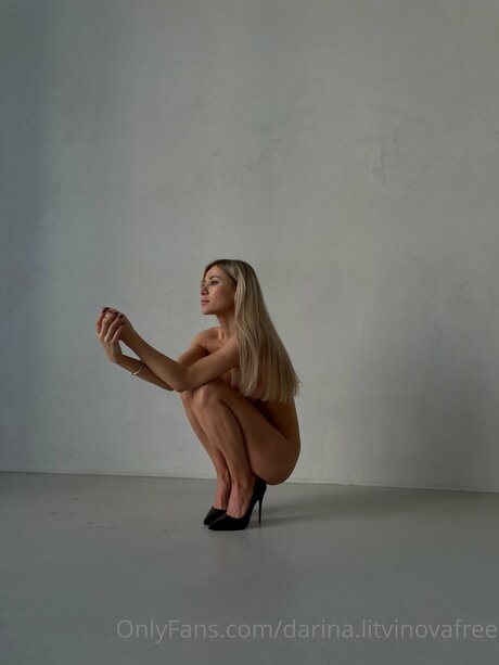 Darina Litvinovafree