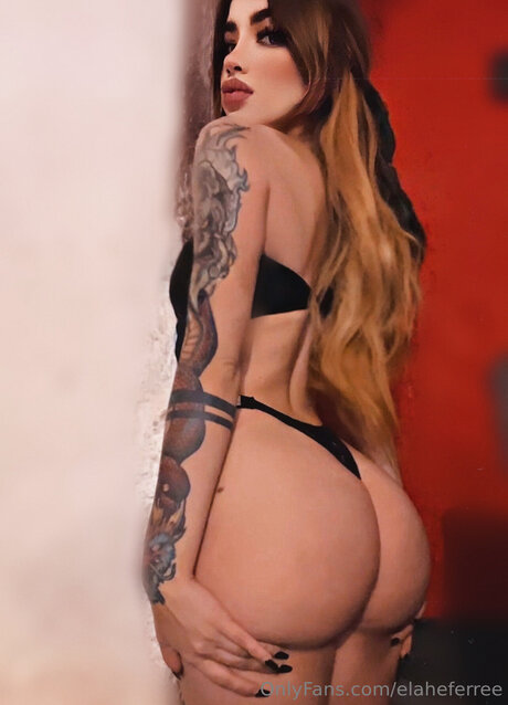 Nagie wyciekłe zdjęcie OnlyFans od Elaheferree