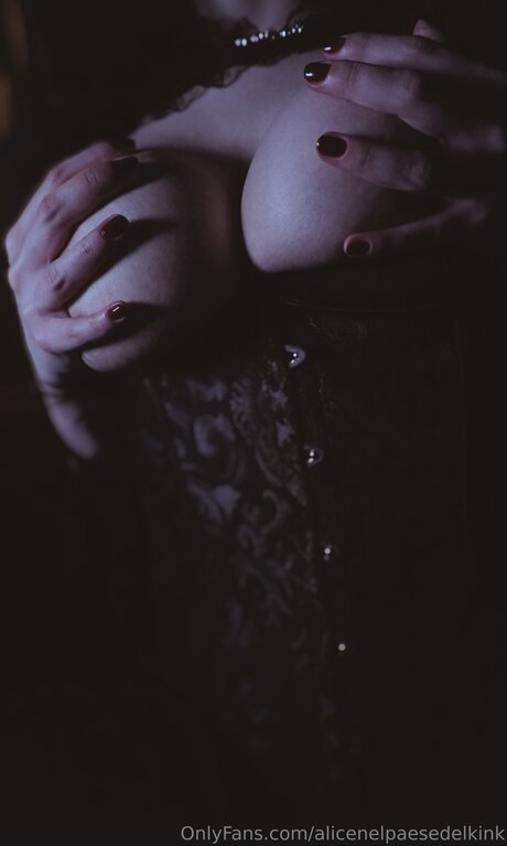 Alicenelpaesedelkink