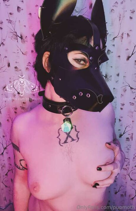Pupmoth