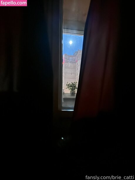 Nagie wyciekłe zdjęcie OnlyFans od Briecattii