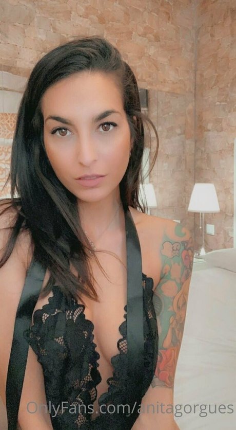 Anitagorgues