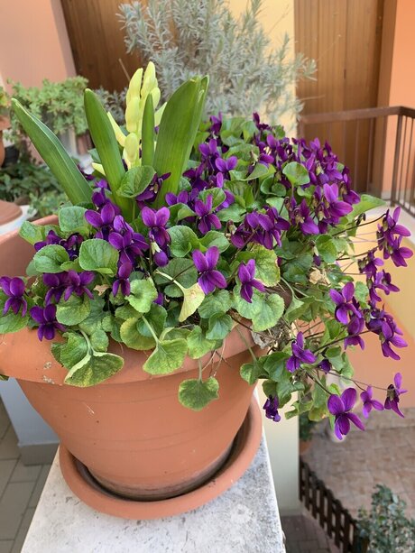 Nagie wyciekłe zdjęcie OnlyFans od Bella