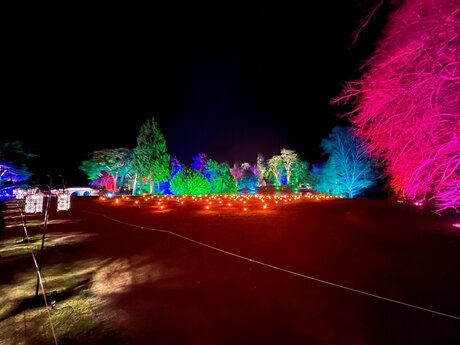 Nagie wyciekłe zdjęcie OnlyFans od Bigboylen