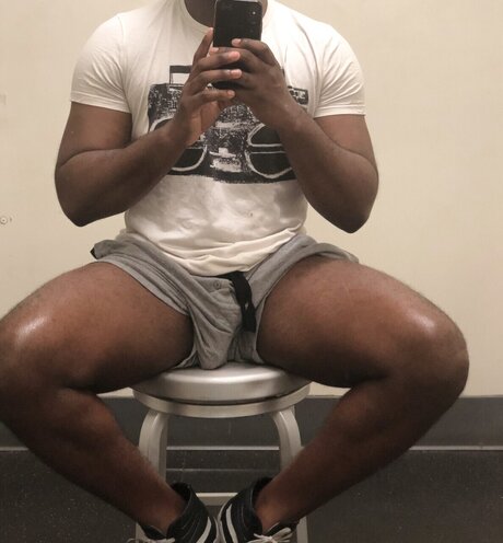 Brownstallion