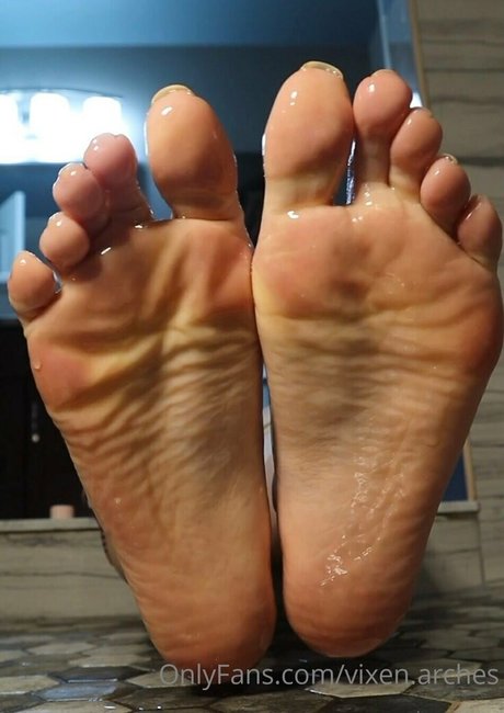 Vixenarches