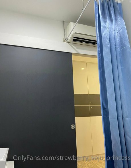 Strawberrysojuprincess