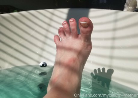 Myceliummother