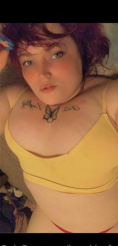 Brookiesfatcookie