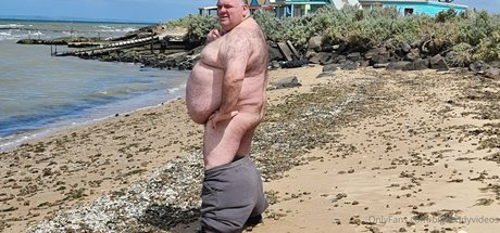 Bigdaddyvideos