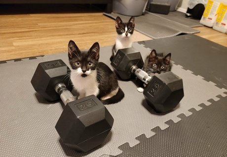Nagie wyciekłe zdjęcie OnlyFans od Fosterkittendad