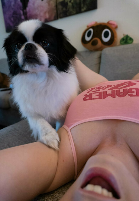Nagie wyciekłe zdjęcie OnlyFans od Pennykun