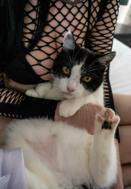 Nagie wyciekłe zdjęcie OnlyFans od Pennykun