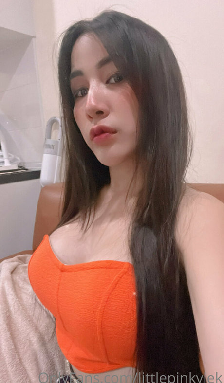 Nagie wyciekłe zdjęcie OnlyFans od Littlepinkylek