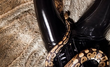 Nagie wyciekłe zdjęcie OnlyFans od Rubberragdoll