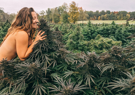 Danceincannabis