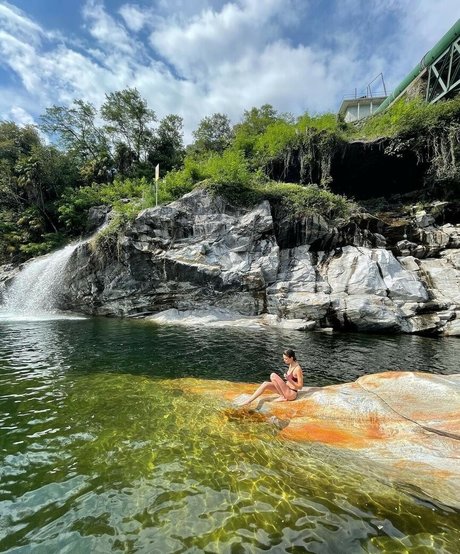 Michelle Ellyse Schlaman